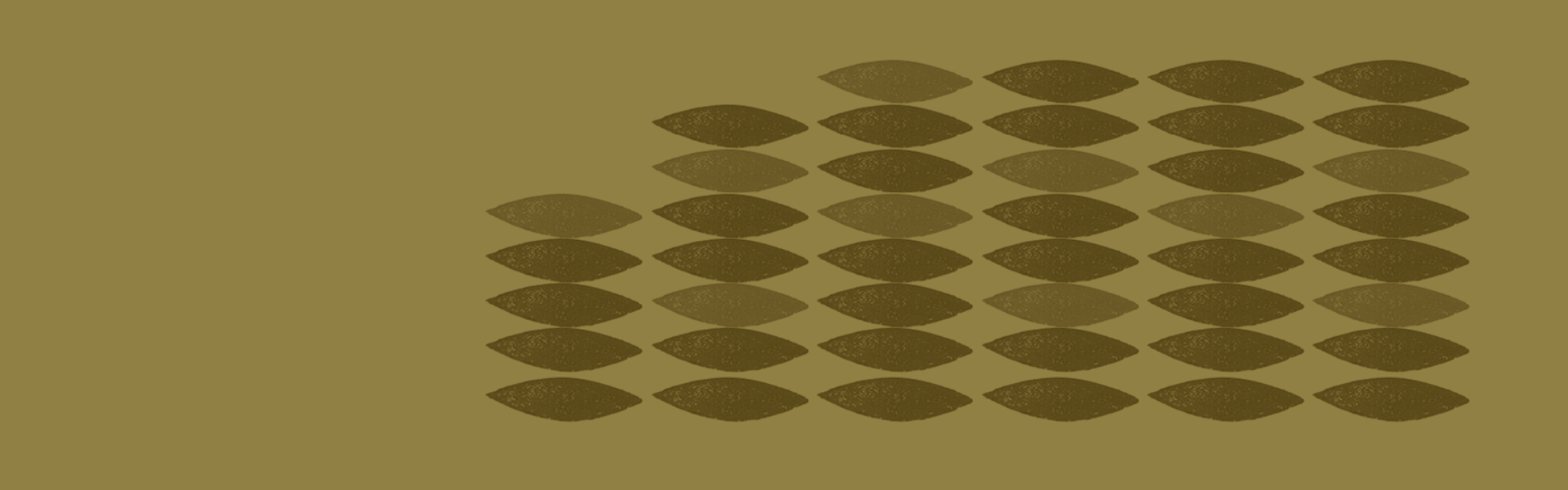 New report: Perspectives on Investing