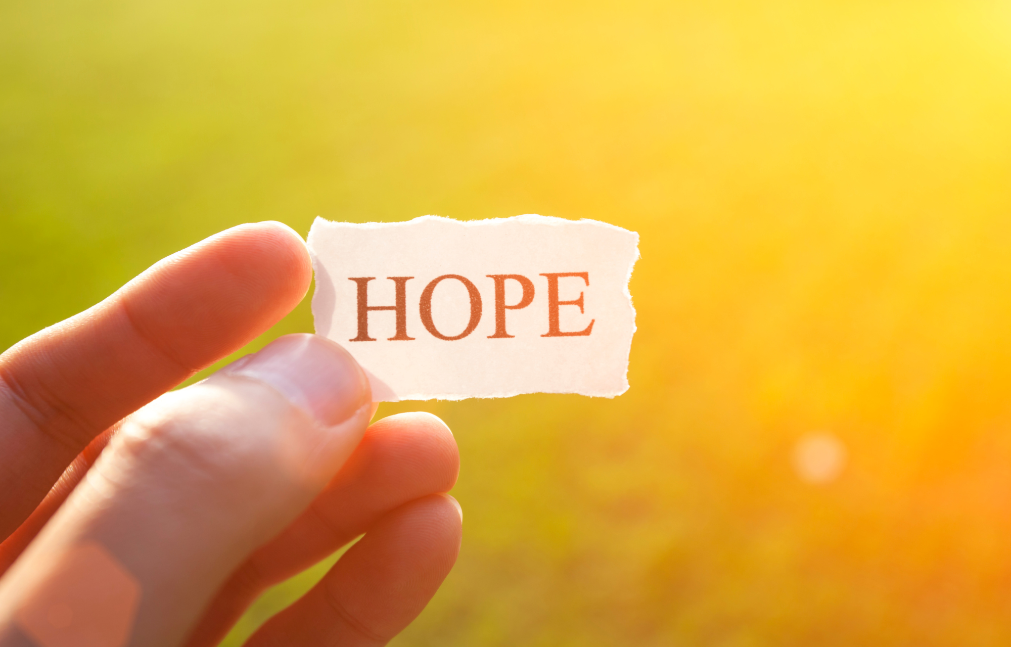 Linker Service Case Study: Zahra Foundation